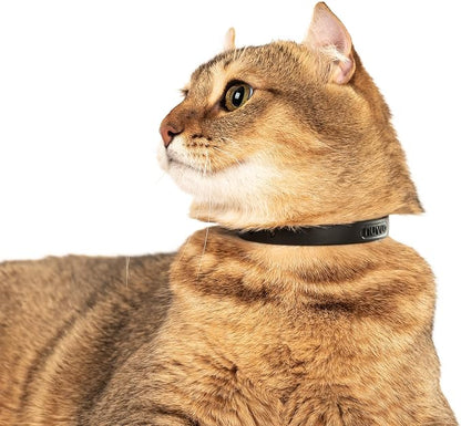 Silicone Cat Collar - Image 6