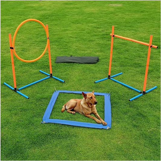 Dog Agility Training Equipment, Dog Obstacle Course Training Starter Kit Pet by AHAILUOO