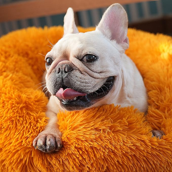 Calming Donut Dogs Beds for Small Dogs Washable, 23inch Plush Round Pet Bed for - Image 6