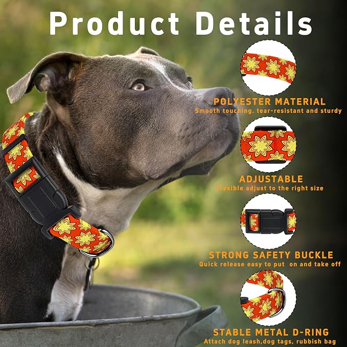 Dog Collar, Classical Indian Spirit Boys Girls Puppy Collar - Image 2