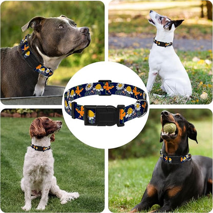Dog Collar with Butterflies Print, Daisy Boys Girls Puppy Collar - Image 6