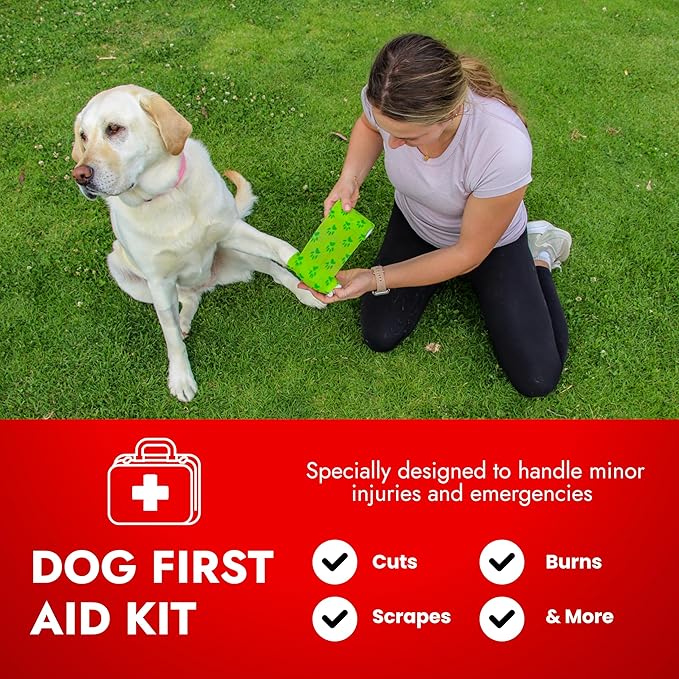 Cat & Dog First Aid Kit - Image 2