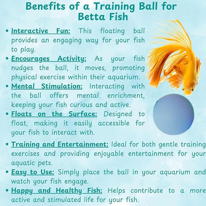Betta Mirror Enrichment Fish Toys Stimulation, Betta Fish Tank Accessories - Image 9