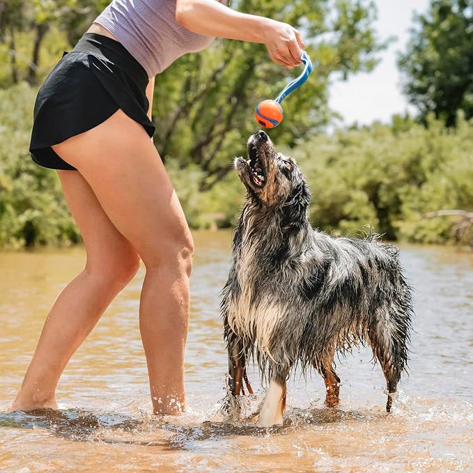 Chuckit! Ultra Duo Tug Dog Toy - Image 2