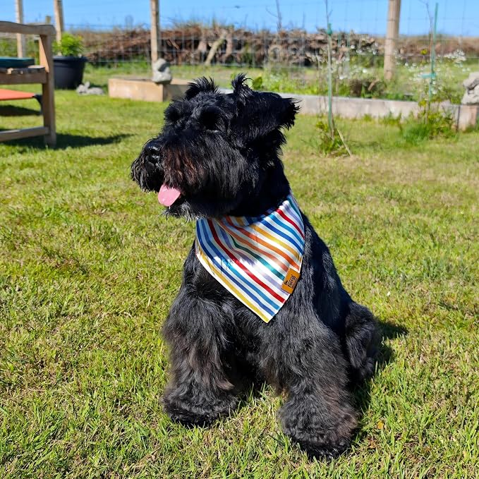 Birthday Dog Bandanas Medium Large, Colorful Sprinkle Stripes, Reversible Soft - Image 3