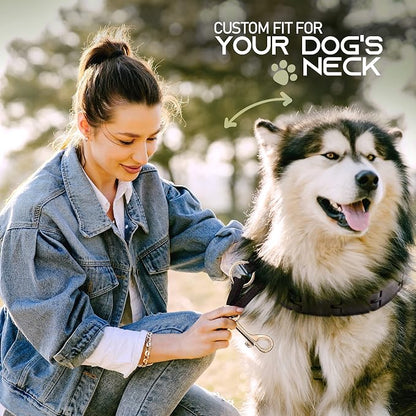 Ram-Pro Dog Training Pinch Collar Large Triple Crown Gentle Effective/No - Image 2