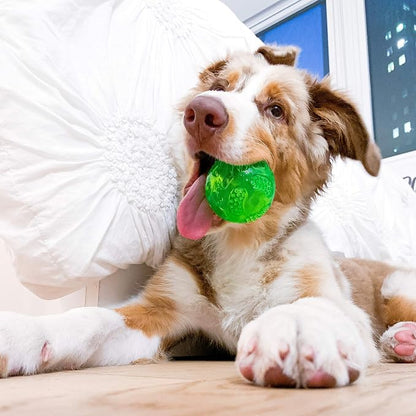 Hyper Pet DuraSqueak Dog Ball Toy, Interactive Dog Toys that Float and Squeaks - Image 2