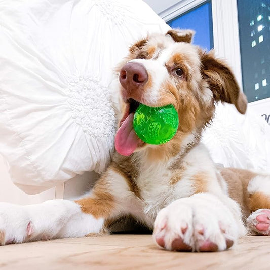 Hyper Pet DuraSqueak Dog Ball Toy, Interactive Dog Toys that Float and Squeaks - Image 2