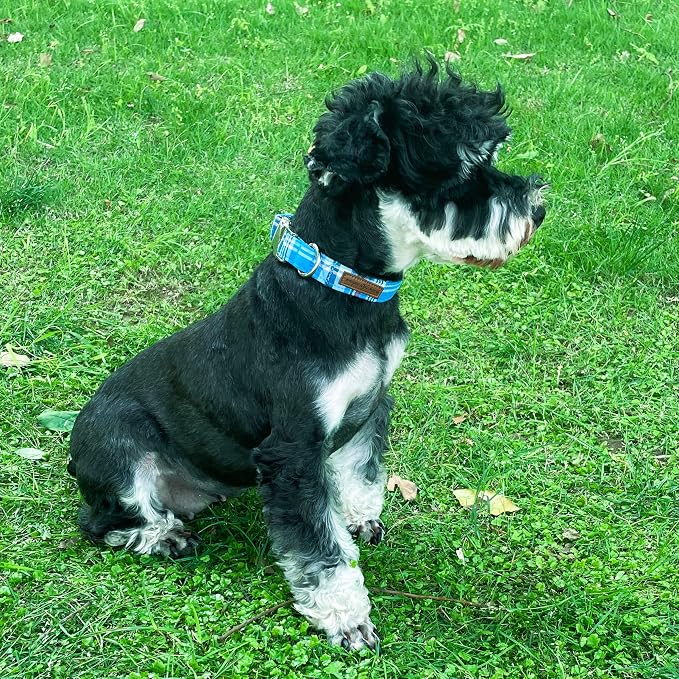 Unique Style Paws Metal Buckle Blue Plaid Collar - Image 4