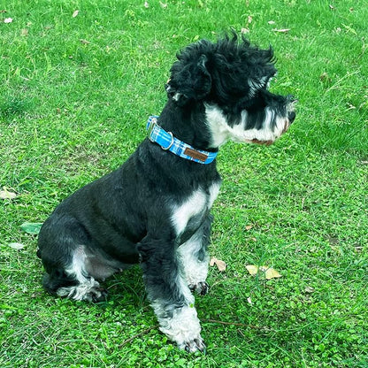 Unique Style Paws Metal Buckle Blue Plaid Collar - Image 4