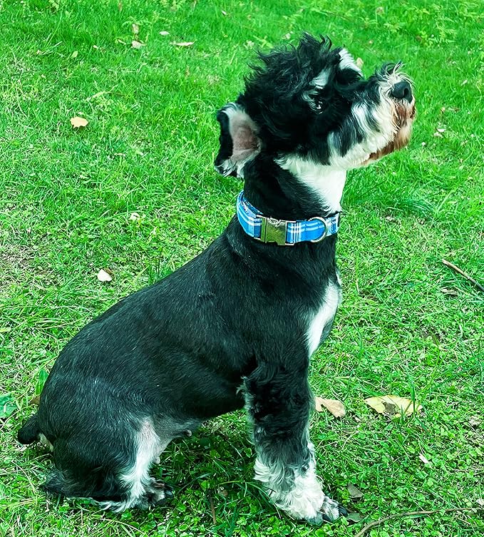 Unique style paws Dog Collar Metal Buckle Blue Plaid Collar Gift Durable Cute - Image 3