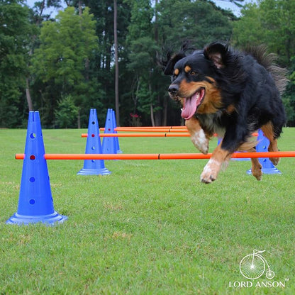 Dog Agility Hurdle Cone Set - Image 8