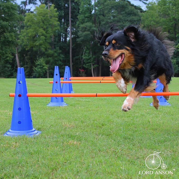 Dog Agility Hurdle Cone Set - Image 8