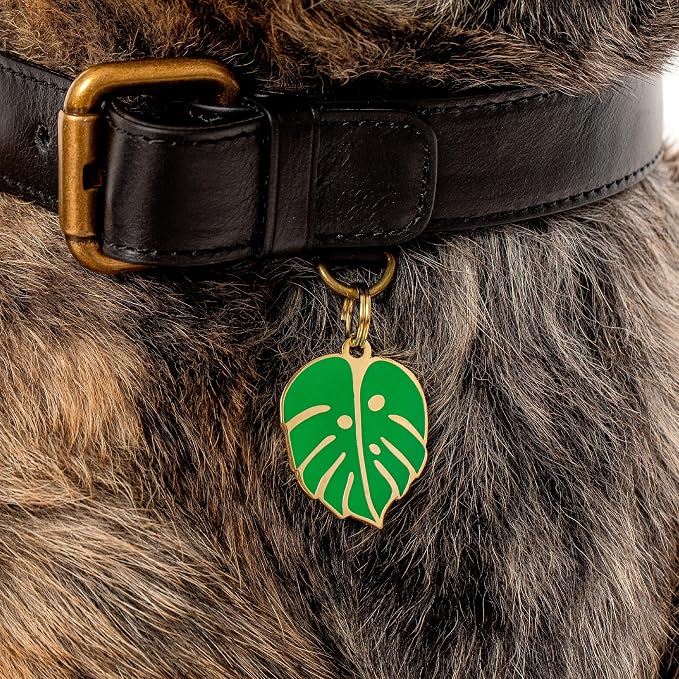Two Tails Pet Company Personalized 'Monstera Leaf' Pet ID Tag & Collar Charm - Image 7