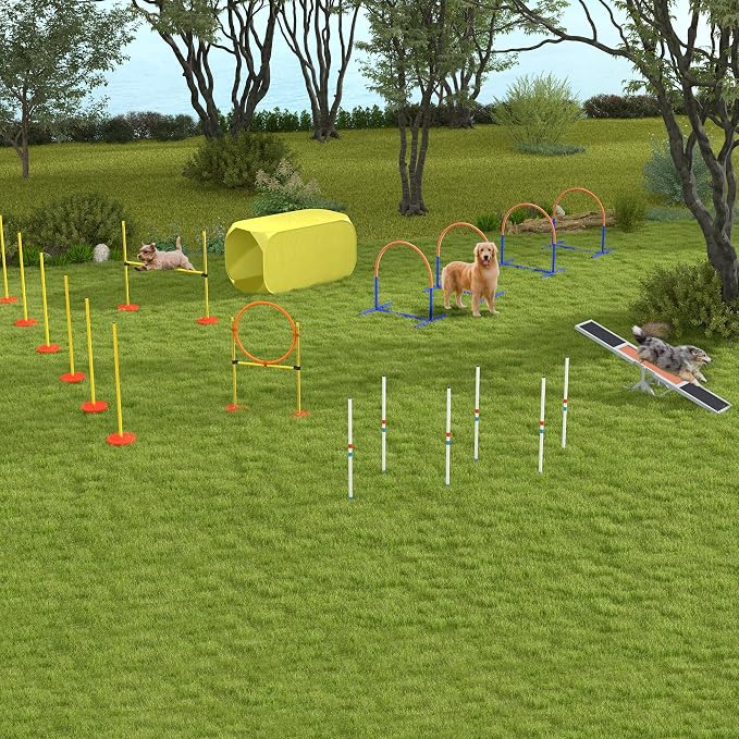 PawHut Wooden Dog Agility Seesaw - Image 9