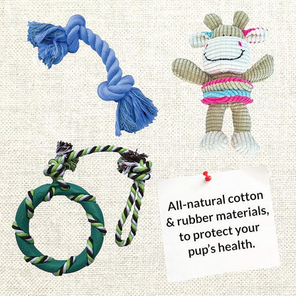 rocket & rex Dog Chew Toy Set for Small to Medium Breeds, Includes All Natural - Image 7