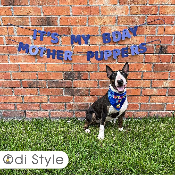 Dog Birthday Party Decorations - Image 6