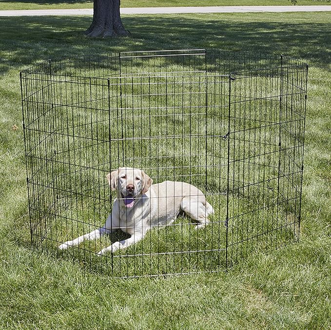 New World Folding Metal Dog Exercise Pen, Indoor/Outdoor Playpen - Image 2